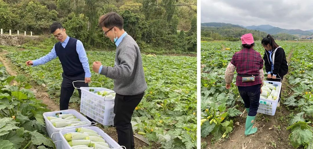 微信圖片_20220317112431 微信圖片_20220317112431